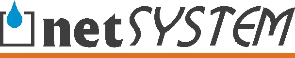 Plik:Logo-netsystem-en.jpg
